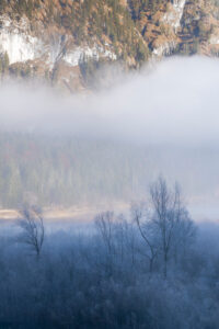 Hoarfrost and fog over the pastures on the shore of the Sylvenstein reservoir in the Bavarian Alps on the edge of the Karwendel mountains near Lengries.