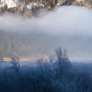Hoarfrost and fog over the pastures on the shore of the Sylvenstein reservoir in the Bavarian Alps at the edge of the Karwendel mountains near Lengries.
