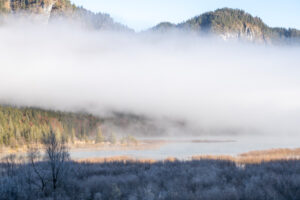 Hoarfrost and fog over the pastures on the shore of the Sylvenstein reservoir in the Bavarian Alps at the edge of the Karwendel mountains near Lengries.
