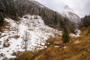 A single haystack with red roof above the Ferchensee near Mittenwald in the Bavarian Alps in spring. A still partly snow-covered mountain meadow, with forest and snow, in the background the massive Wetterstein mountains with the Wetterstein in clouds and overcast sky.