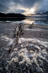 An old tree trunk lies on the shore of Walchensee, in the foreground dried up water plants and small snail shells, in the background evening atmosphere with thick clouds and reflection of the mountains in the water.