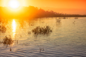 Fantastic sunset, with the sun setting over the horizon in the Amazon Basin, Manaus, Brazil Fantastic sunset, with the sun setting over the horizon in the Amazon Basin, Manaus, Brazil