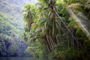 Loboc River, Bohol, Central Visayas, Philippines Loboc River, Bohol, Central Visayas, Philippines