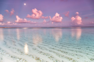 Tropical island with sandy beach, clear sky and pristine water Tropical island with sandy beach, clear sky and pristine water