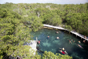 Mangrove swamp on Holbox Island, Tourists bathing in crystal clear waters, Quintana Roo, Yucatán Peninsula, Mexico Mangrove swamp on Holbox Island, Tourists bathing in crystal clear waters, Quintana Roo, Yucatán Peninsula, Mexico