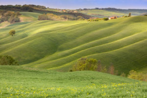 grasslands and hills, landscape of the Crete Senesi, Asciano, Siena, Tuscany, Italy grasslands and hills, landscape of the Crete Senesi, Asciano, Siena, Tuscany, Italy