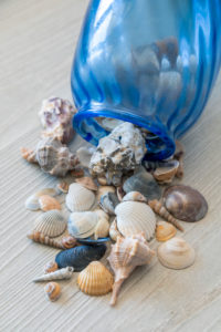 Seashells Collection, souvenirs from summer holidays