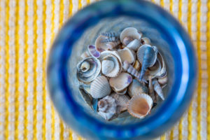 Seashells Collection, souvenirs from summer holidays