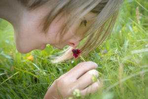 10 year old girl sniffs the scent of wild orchid Black Vanilla Orchid (Nigritella nigra) in a meadow in the Dolomites 10 year old girl sniffs the scent of wild orchid Black Vanilla Orchid (Nigritella nigra) in a meadow in the Dolomites