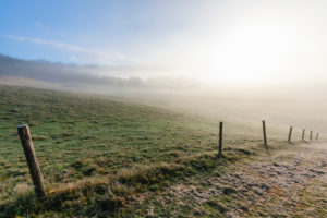 Cansiglio plateau, foggy morning on the plateau in autumn, Alpago, Belluno, Veneto, Italy Cansiglio plateau, foggy morning on the plateau in autumn, Alpago, Belluno, Veneto, Italy