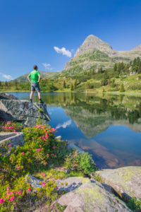 Colbricon lakes in summer with rhododendron flowering and mountain reflected on the water, an hiker standing over a rock, Lagorai, Trentino, Italy, Europe Colbricon lakes in summer with rhododendron flowering and mountain reflected on the water, an hiker standing over a rock, Lagorai, Trentino, Italy, Europe