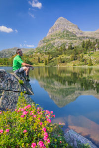Colbricon lakes in summer with rhododendron flowering and mountain reflected on the water, an hiker sitting on a rock in a moment of relax, Lagorai, Trentino, Italy, Europe Colbricon lakes in summer with rhododendron flowering and mountain reflected on the water, an hiker sitting on a rock in a moment of relax, Lagorai, Trentino, Italy, Europe