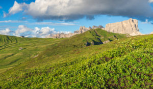 summer view towards the Giau pass with the Croda da Lago and the Lastoi di Formin mountains, Dolomites, Colle Santa Lucia, Belluno, Veneto, Italy summer view towards the Giau pass with the Croda da Lago and the Lastoi di Formin mountains, Dolomites, Colle Santa Lucia, Belluno, Veneto, Italy