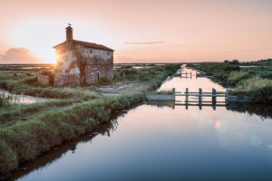 old abandoned rural building in the lagoon of lio piccolo, cavallino treporti, venice, veneto, italy old abandoned rural building in the lagoon of lio piccolo, cavallino treporti, venice, veneto, italy