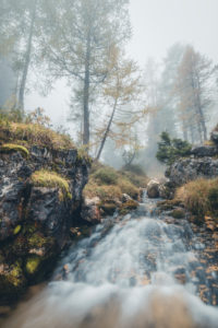 stream among the trees in a gloomy morning, natural alpine landscape, dolomiti d'ampezzo natural park, belluno, veneto, italy stream among the trees in a gloomy morning, natural alpine landscape, dolomiti d'ampezzo natural park, belluno, veneto, italy