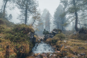 stream among the trees in a gloomy morning, natural alpine landscape, dolomiti d'ampezzo natural park, belluno, veneto, italy stream among the trees in a gloomy morning, natural alpine landscape, dolomiti d'ampezzo natural park, belluno, veneto, italy
