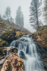 stream among the trees in a gloomy morning, natural alpine landscape, dolomiti d'ampezzo natural park, belluno, veneto, italy stream among the trees in a gloomy morning, natural alpine landscape, dolomiti d'ampezzo natural park, belluno, veneto, italy