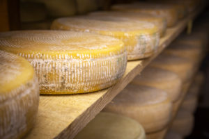 Italy, Veneto, Belluno, Seren del Grappa, typical cheeses (Morlacco and Bastardo del Grappa) in the cellar for aging Italy, Veneto, Belluno, Seren del Grappa, typical cheeses (Morlacco and Bastardo del Grappa) in the cellar for aging