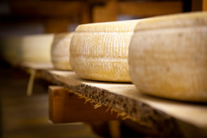 Italy, Veneto, Belluno, Seren del Grappa, typical cheeses (Morlacco and Bastardo del Grappa) in the cellar for aging Italy, Veneto, Belluno, Seren del Grappa, typical cheeses (Morlacco and Bastardo del Grappa) in the cellar for aging