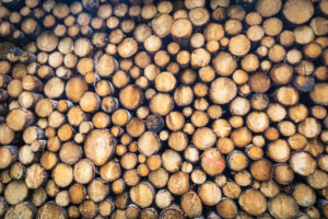 Italy, Veneto, Belluno, Agordino, pile of lumber in the woods, rough lumber Italy, Veneto, Belluno, Agordino, pile of lumber in the woods, rough lumber