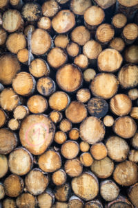 Italy, Veneto, Belluno, Agordino, pile of lumber in the woods, rough lumber Italy, Veneto, Belluno, Agordino, pile of lumber in the woods, rough lumber