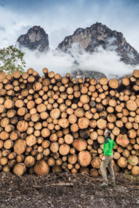 Italy, Veneto, Belluno, Agordino, one man (45 to 50 years) in the woods near a pile of logs, rough timber Italy, Veneto, Belluno, Agordino, one man (45 to 50 years) in the woods near a pile of logs, rough timber