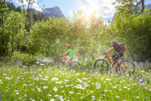 Italy, Veneto, Belluno, Agordino, smiling mom and daughter ride their bikes through the flowering meadows Italy, Veneto, Belluno, Agordino, smiling mom and daughter ride their bikes through the flowering meadows