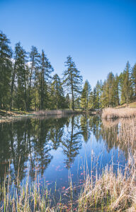 Alpine lake reflecting pine trees and blue sky in Monte Corno / Trudner Horn Nature Park, Anterivo, autonomous province of Bolzano, South Tyrol, Italy