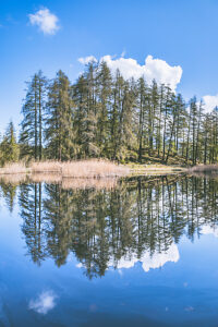 Alpine lake reflecting pine trees and blue sky in Monte Corno / Trudner Horn Nature Park, Anterivo, autonomous province of Bolzano, South Tyrol, Italy