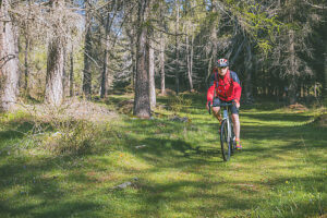 Cyclist riding an e-gravel bike through an alpine forest trail during spring, Anterivo, Autonomous Province of Bolzano, South Tyrol, Italy