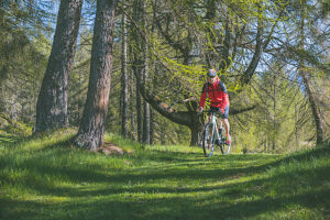 Cyclist riding an e-gravel bike through an alpine forest trail during spring, Anterivo, Autonomous Province of Bolzano, South Tyrol, Italy