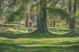 Cyclist riding an e-gravel bike through an alpine forest trail during spring, Anterivo, Autonomous Province of Bolzano, South Tyrol, Italy