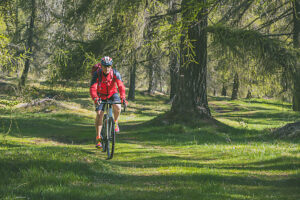 Cyclist riding an e-gravel bike through an alpine forest trail during spring, Anterivo, Autonomous Province of Bolzano, South Tyrol, Italy