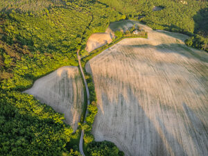Aerial view of a cultivated field and abandoned farmhouse in the rural landscape of Cesane Park, near Urbino, Marche region, central Italy