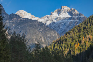 Portrait view of the Croda di Ligonto on the right and Cima d'Ambata on the left rising above a dense forest of larches and firs, with snow-capped peaks visible in the background, as seen from the bottom of the Ansiei Valley. Dolomites, Auronzo di Cadore, Province of Belluno, Veneto, Italy.