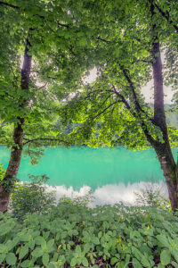 View of Centro Cadore Lake through lush spring foliage along the forested shoreline. Located in Domegge di Cadore, Belluno province, Veneto region, northern Italy