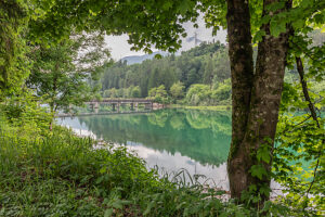 View of the old concrete bridge crossing Lake Centro Cadore, framed by lush lakeside trees. Domegge di Cadore, Belluno province, Veneto, Italy