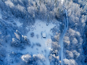 Aerial view of a snow-covered forest in Agordino, Dolomites, with snowy trees and a straight road under diffuse bluish winter light, province of Belluno, Veneto, Italy