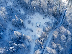Aerial view of a snow-covered forest in Agordino, Dolomites, with snowy trees and a straight road under diffuse bluish winter light, province of Belluno, Veneto, Italy