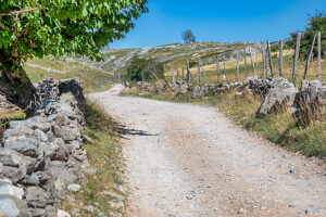 The dirt road lined with dry stone walls leading to the remote village of Lukomir, surrounded by the landscape of the Bjelasnica mountains, Lukomir, Konjic, Herzegovina-Neretva Canton, Bosnia and Herzegovina The dirt road lined with dry stone walls leading to the remote village of Lukomir, surrounded by the landscape of the Bjelasnica mountains, Lukomir, Konjic, Herzegovina-Neretva Canton, Bosnia and Herzegovina