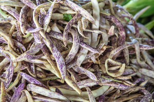 Close-up of speckled Romano beans, also known as Borlotti or Dragon Tongue beans, freshly harvested and displayed at a local market. Photographed in Travnik, Central Bosnia, Bosnia and Herzegovina Close-up of speckled Romano beans, also known as Borlotti or Dragon Tongue beans, freshly harvested and displayed at a local market. Photographed in Travnik, Central Bosnia, Bosnia and Herzegovina
