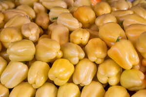 A pile of fresh yellow bell peppers displayed at a local farmers market. Photographed in Travnik, Central Bosnia, Bosnia and Herzegovina A pile of fresh yellow bell peppers displayed at a local farmers market. Photographed in Travnik, Central Bosnia, Bosnia and Herzegovina