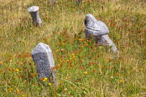Ancient tombstones at the historic Puzim Cemetery (Puzimsko Groblje), part of the cultural heritage of Bosnia and Herzegovina. Konjic, Herzegovina-Neretva Canton, Bosnia and Herzegovina Ancient tombstones at the historic Puzim Cemetery (Puzimsko Groblje), part of the cultural heritage of Bosnia and Herzegovina. Konjic, Herzegovina-Neretva Canton, Bosnia and Herzegovina