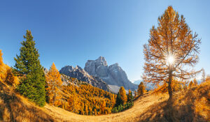 Golden autumn mood around Monte Pelmo at sunset under a clear autumn sky in Val Fiorentina, Dolomites, Borca di Cadore, Belluno province, Veneto, Italy Golden autumn mood around Monte Pelmo at sunset under a clear autumn sky in Val Fiorentina, Dolomites, Borca di Cadore, Belluno province, Veneto, Italy