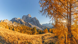 Golden autumn mood around Monte Pelmo at sunset under a clear autumn sky in Val Fiorentina, Dolomites, Borca di Cadore, Belluno province, Veneto, Italy Golden autumn mood around Monte Pelmo at sunset under a clear autumn sky in Val Fiorentina, Dolomites, Borca di Cadore, Belluno province, Veneto, Italy