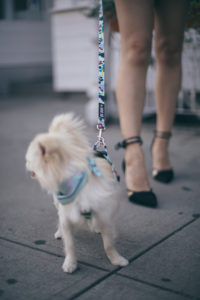 young female walking with her dog