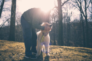 man holding the head of his dog in a park in a sunny day