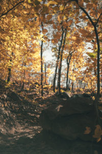 fall landscape in upstate new york