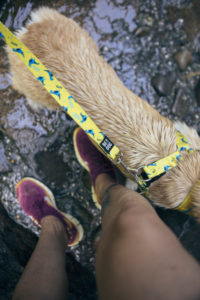 woman close to a dog and some cascade water with sneakers