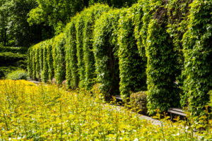 Europe, Poland, Lower Silesia, Wroclaw - Park Poludniowy Europe, Poland, Lower Silesia, Wroclaw - Park Poludniowy